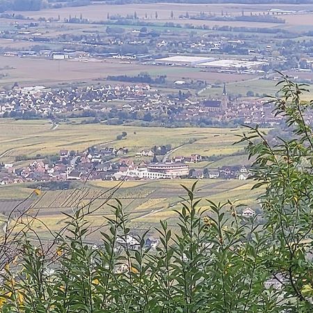 Sur La Route Du Vin Vila Rorschwihr Exterior foto