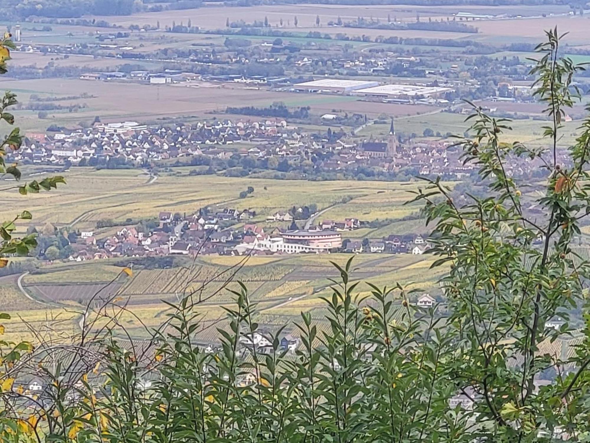 Sur La Route Du Vin Vila Rorschwihr Exterior foto